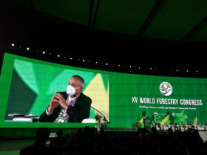 Ông Eduardo Rojas Briales, Chủ tịch Hội đồng PEFC chia sẻ tại hội nghị